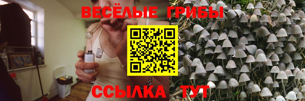 Псилоцибиновые грибы Psilocybe  Вход с VPN  Минусинск 